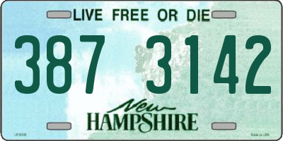 NH license plate 3873142