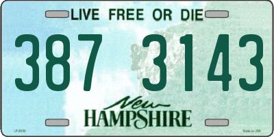 NH license plate 3873143