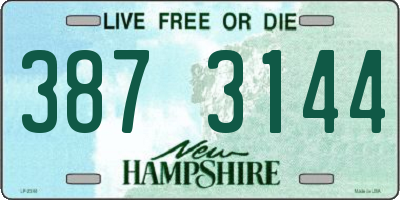 NH license plate 3873144