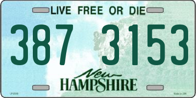 NH license plate 3873153