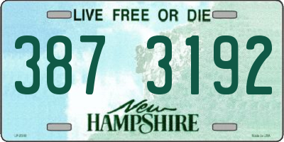 NH license plate 3873192