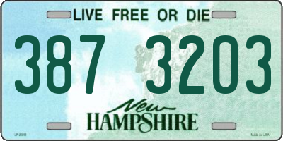 NH license plate 3873203