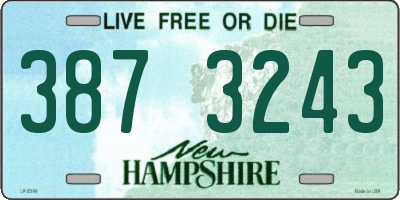 NH license plate 3873243