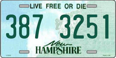NH license plate 3873251
