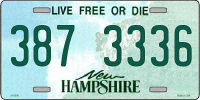 NH license plate 3873336