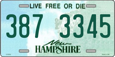 NH license plate 3873345