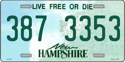 NH license plate 3873353