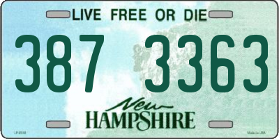 NH license plate 3873363
