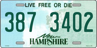 NH license plate 3873402