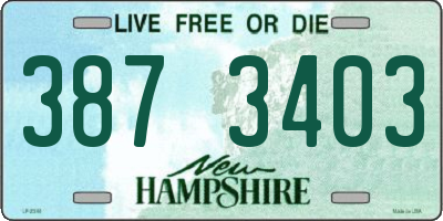 NH license plate 3873403