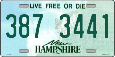NH license plate 3873441