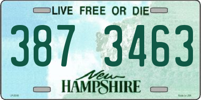 NH license plate 3873463