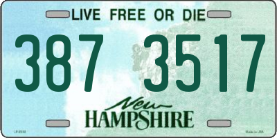 NH license plate 3873517