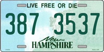 NH license plate 3873537