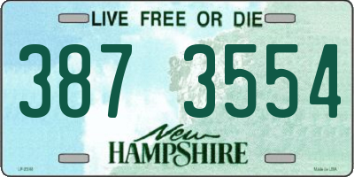 NH license plate 3873554