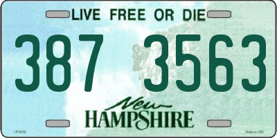 NH license plate 3873563