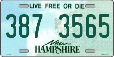 NH license plate 3873565