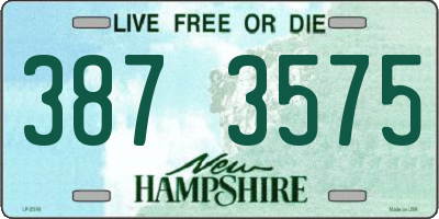 NH license plate 3873575
