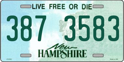 NH license plate 3873583