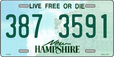 NH license plate 3873591
