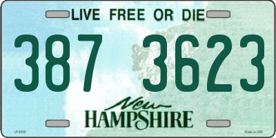 NH license plate 3873623