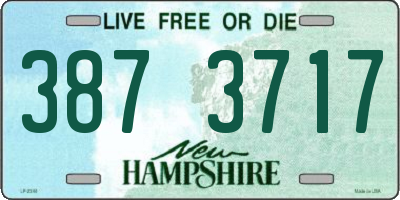 NH license plate 3873717
