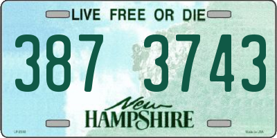 NH license plate 3873743