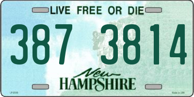 NH license plate 3873814
