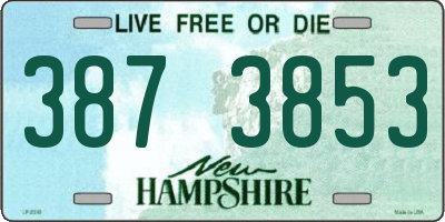 NH license plate 3873853