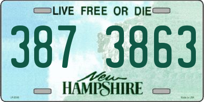 NH license plate 3873863