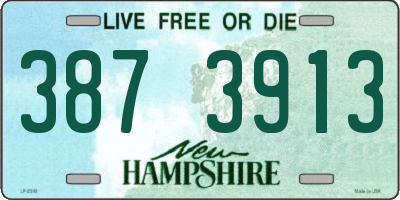 NH license plate 3873913