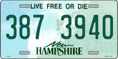 NH license plate 3873940