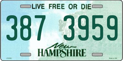 NH license plate 3873959