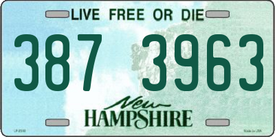 NH license plate 3873963