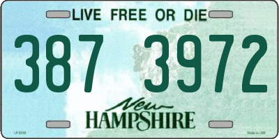 NH license plate 3873972