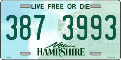 NH license plate 3873993
