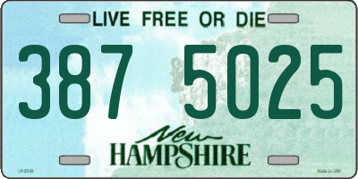 NH license plate 3875025