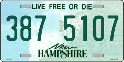 NH license plate 3875107