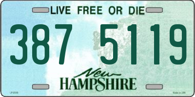 NH license plate 3875119