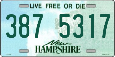 NH license plate 3875317