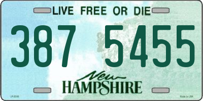 NH license plate 3875455