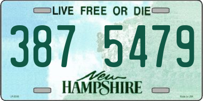 NH license plate 3875479