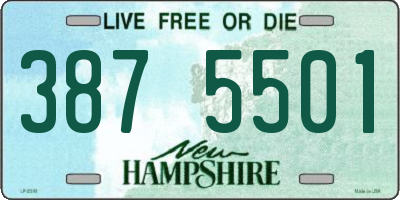 NH license plate 3875501