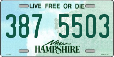 NH license plate 3875503