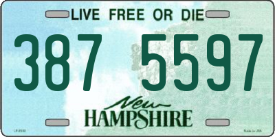 NH license plate 3875597