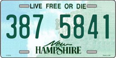 NH license plate 3875841