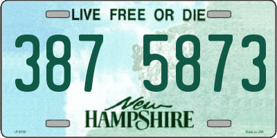 NH license plate 3875873