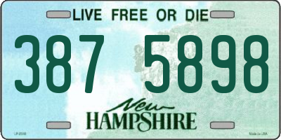 NH license plate 3875898