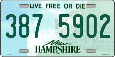 NH license plate 3875902