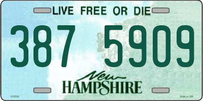 NH license plate 3875909